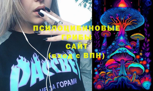 мяу мяу мука Кукмор